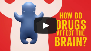 How Do Drugs Affect The Brain