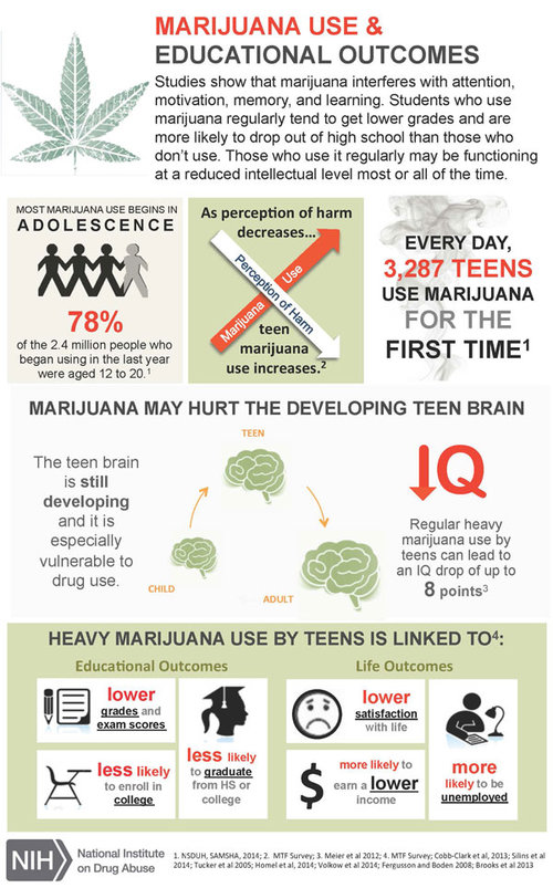 Marijuana Education Infographic